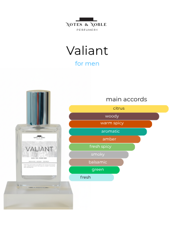 Valiant Men's Eau de Parfum